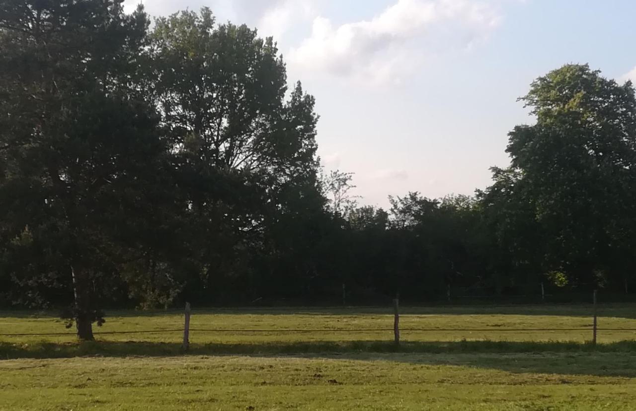 Les Pres Du Petit Morlu - Proche Beauval Villa Saint-Romain-sur-Cher Exterior foto