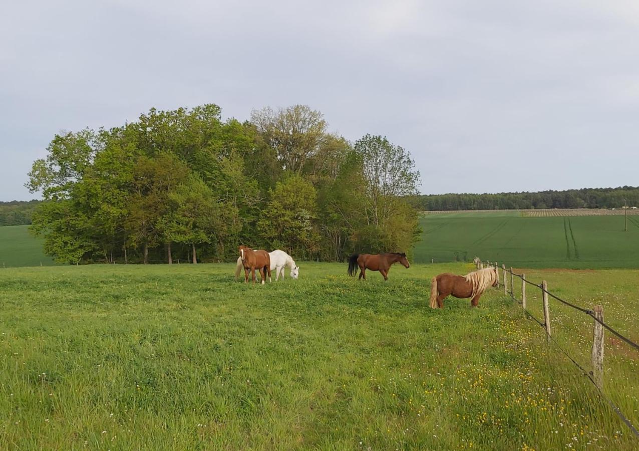 Les Pres Du Petit Morlu - Proche Beauval Villa Saint-Romain-sur-Cher Exterior foto